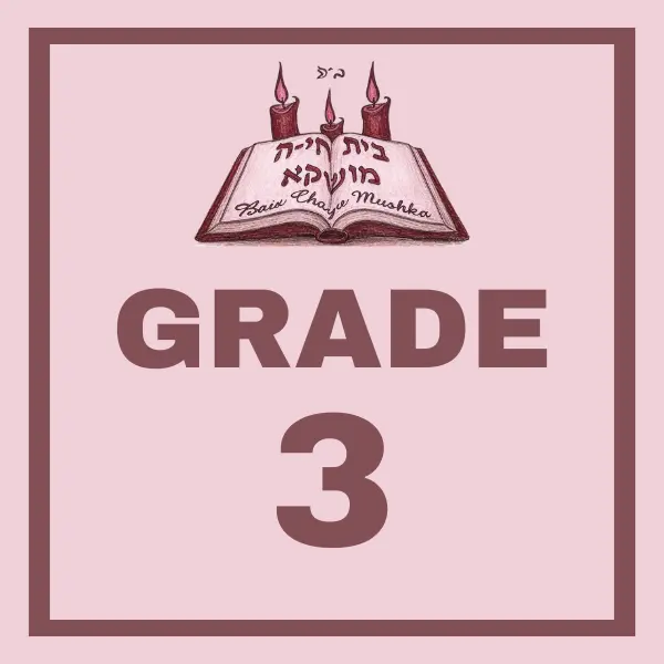 Grade 3